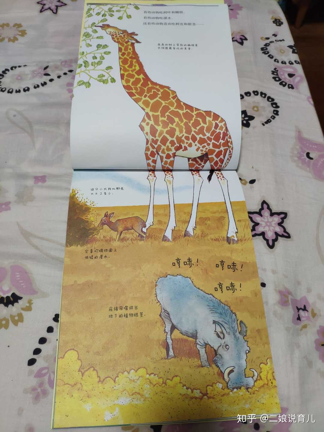 有必要给四五岁孩子讲科学知识吗？878 / 作者:清凉一夏啊沼 / 帖子ID:110468