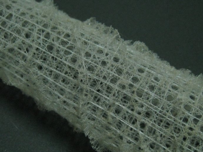 生物学上有什么凄美的故事？145 / 作者:马马虎虎770 / 帖子ID:110537