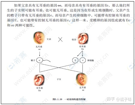 2021下半年初中科学学科知识与教学能力考试大纲984 / 作者:藏獒47 / 帖子ID:110538