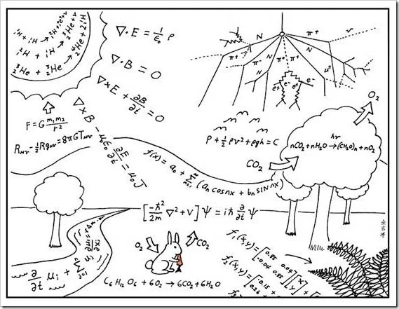 生活中有没有哪些小细节蕴含着深刻的科学知识？265 / 作者:准藏智虽 / 帖子ID:110604