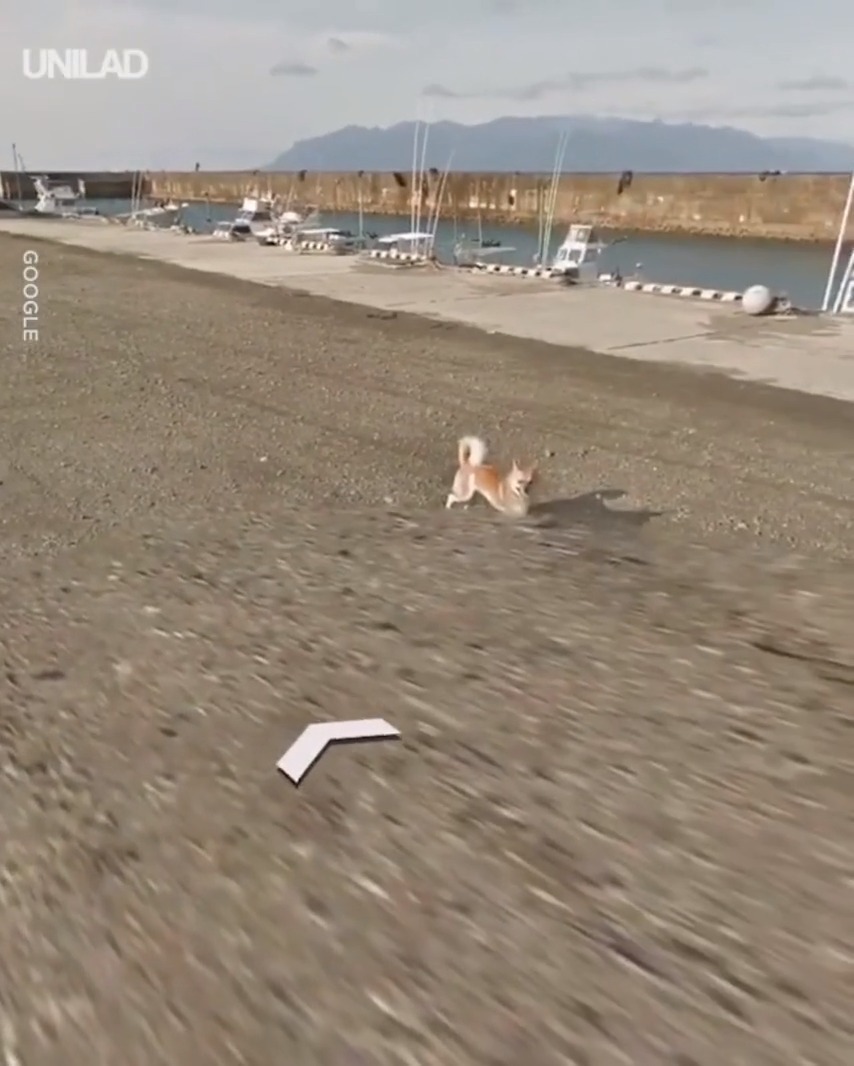 你在谷歌地球（Google Earth）有什么独特的发 …462 / 作者:Katlyn30590 / 帖子ID:110681