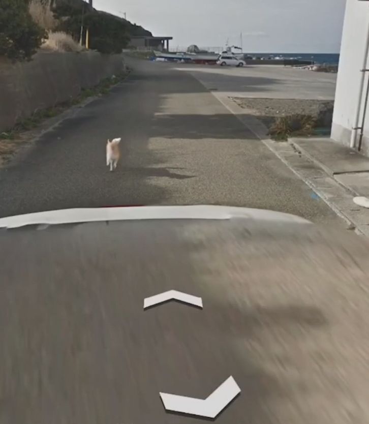你在谷歌地球（Google Earth）有什么独特的发 …189 / 作者:Katlyn30590 / 帖子ID:110681