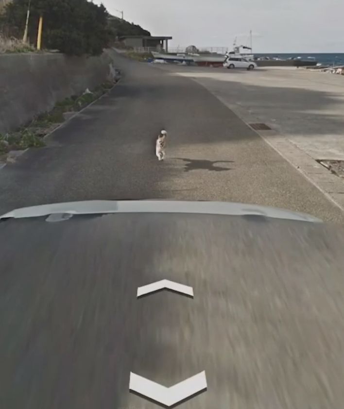 你在谷歌地球（Google Earth）有什么独特的发 …149 / 作者:Katlyn30590 / 帖子ID:110681