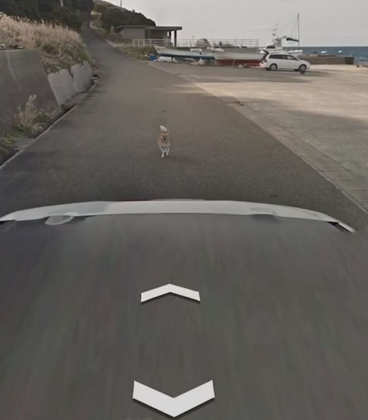 你在谷歌地球（Google Earth）有什么独特的发 …641 / 作者:Katlyn30590 / 帖子ID:110681