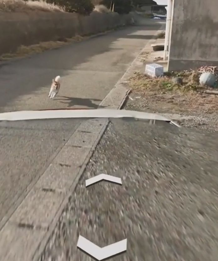 你在谷歌地球（Google Earth）有什么独特的发 …109 / 作者:Katlyn30590 / 帖子ID:110681