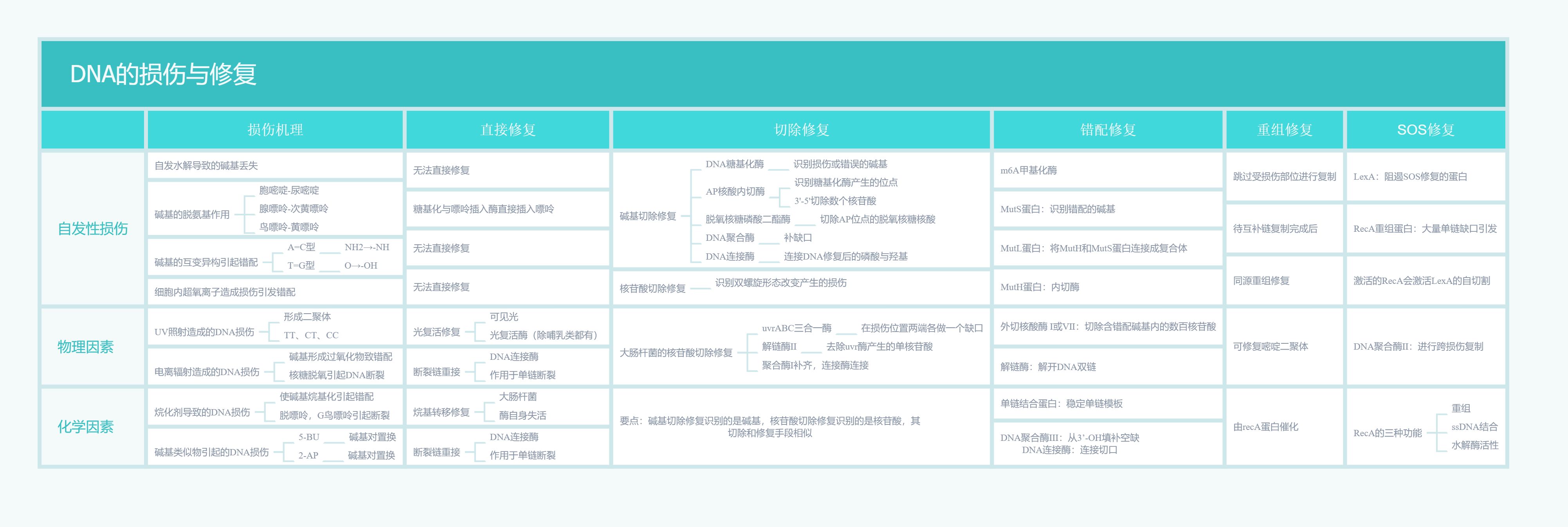 知识树：分子生物学基础知识要点——从基因组到生命体65 / 作者:兰905 / 帖子ID:110715