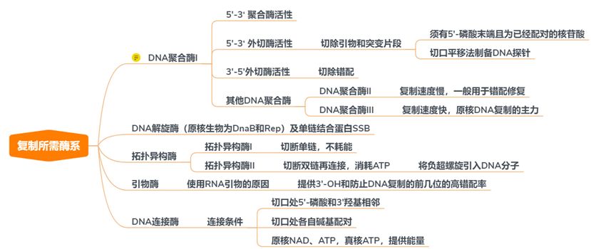 知识树：分子生物学基础知识要点——从基因组到生命体762 / 作者:兰905 / 帖子ID:110715