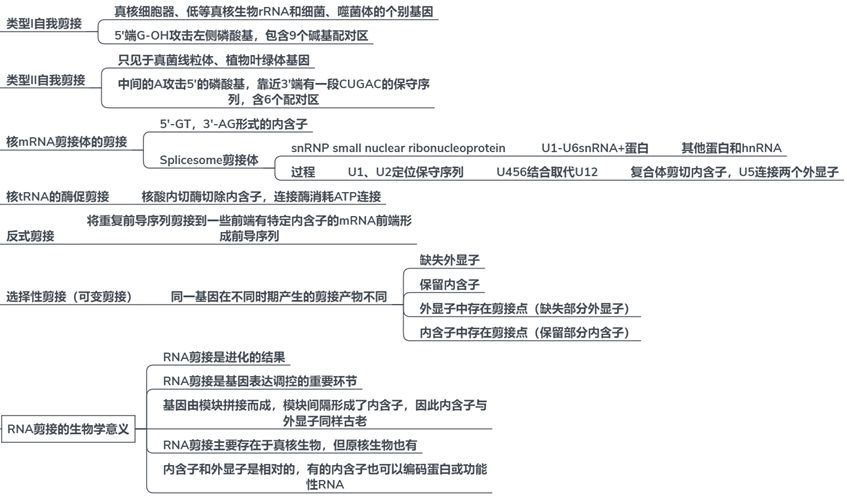 知识树：分子生物学基础知识要点——从基因组到生命体971 / 作者:兰905 / 帖子ID:110715
