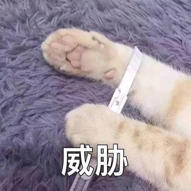 欧洲历史上有什么有趣的故事？或者是有趣的人？-13.jpg