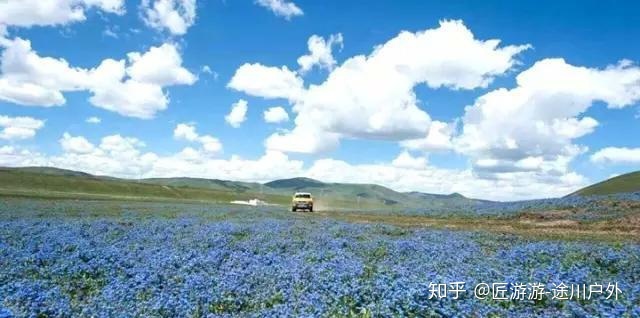 四川10大世界之最，去过一半算你厉害！841 / 作者:山东美家环保 / 帖子ID:110861
