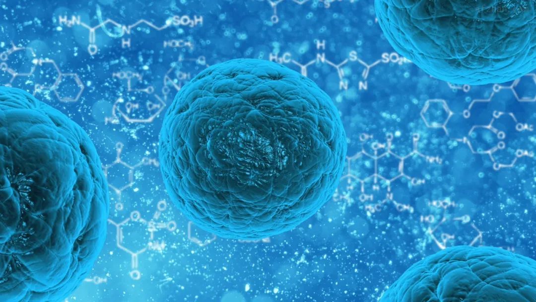 留学专业解读｜生物科学专业：探索生命的奥秘91 / 作者:压后牙 / 帖子ID:111068