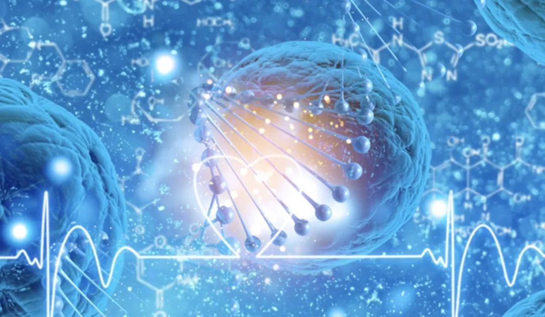留学专业解读｜生物科学专业：探索生命的奥秘952 / 作者:压后牙 / 帖子ID:111068