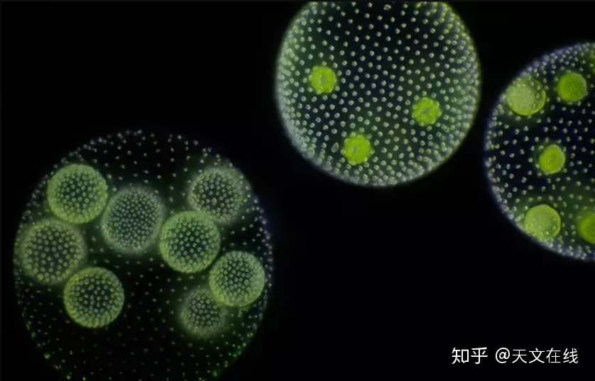 宇宙历——如果把宇宙的历史压缩进365天，会是怎样的？758 / 作者:shelly65321 / 帖子ID:111160