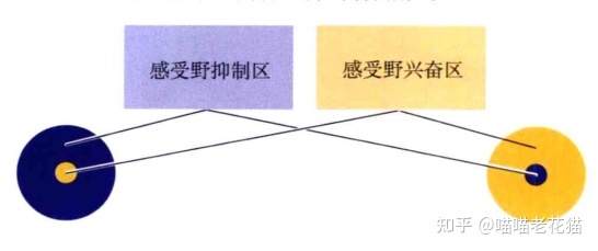 生物心理学笔记496 / 作者:魔幻双琪座双q / 帖子ID:111247