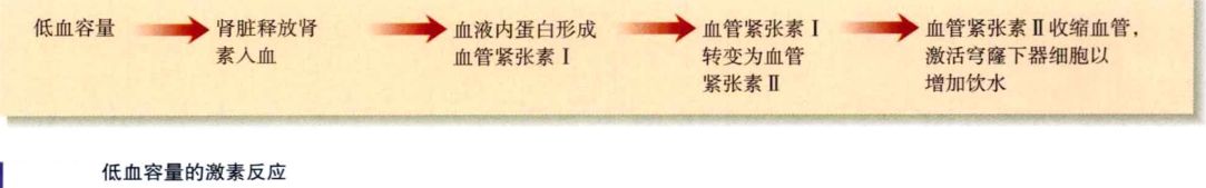 生物心理学笔记672 / 作者:魔幻双琪座双q / 帖子ID:111247