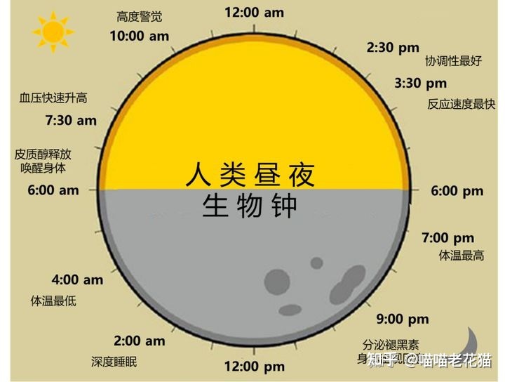 生物心理学笔记115 / 作者:魔幻双琪座双q / 帖子ID:111247