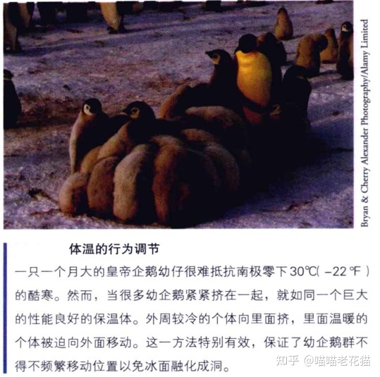 生物心理学笔记799 / 作者:魔幻双琪座双q / 帖子ID:111247