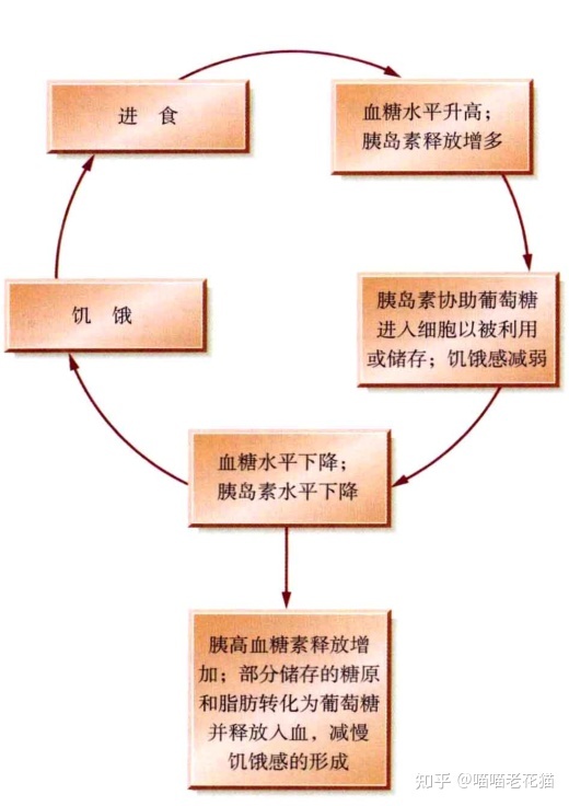 生物心理学笔记858 / 作者:魔幻双琪座双q / 帖子ID:111247