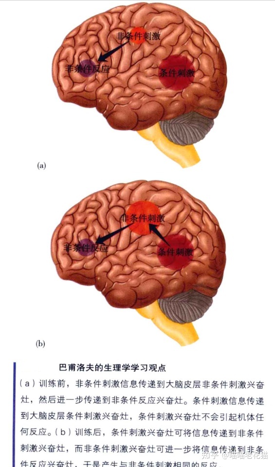 生物心理学笔记870 / 作者:魔幻双琪座双q / 帖子ID:111247