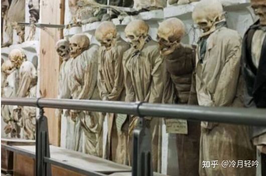 世界十大恐怖博物馆 寄生虫标本令人毛骨悚然331 / 作者:豪哥692 / 帖子ID:111312