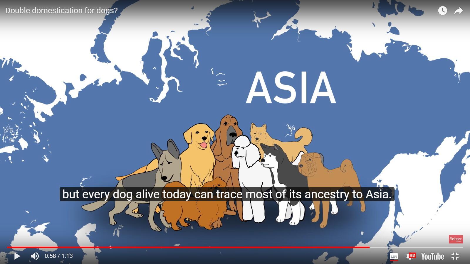 有哪些生物学上的事实，没有一定生物学知识的人不会相信？405 / 作者:牛股行天下烁 / 帖子ID:111477