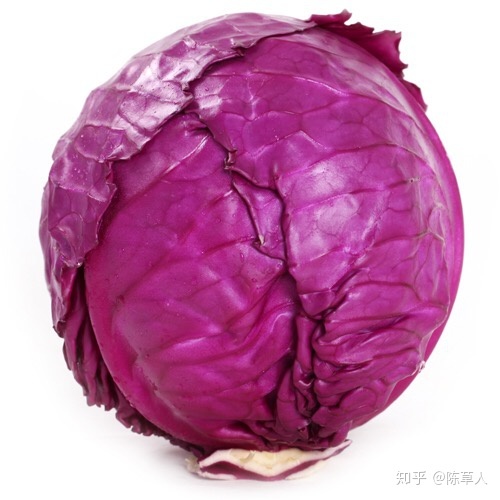 有哪些生物学上的事实，没有一定生物学知识的人不会相信？676 / 作者:Gemini迷妹 / 帖子ID:111477