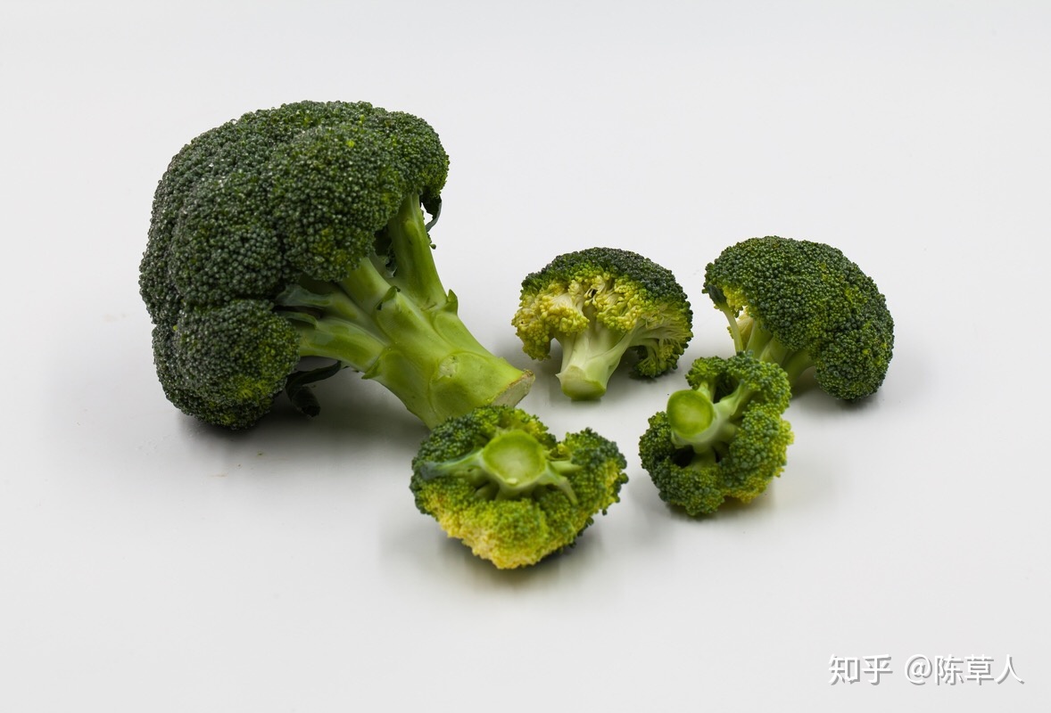 有哪些生物学上的事实，没有一定生物学知识的人不会相信？683 / 作者:Gemini迷妹 / 帖子ID:111477