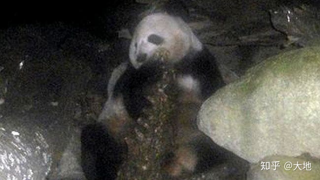 有哪些生物学上的事实，没有一定生物学知识的人不会相信？904 / 作者:法克鱿吧吧sw / 帖子ID:111477