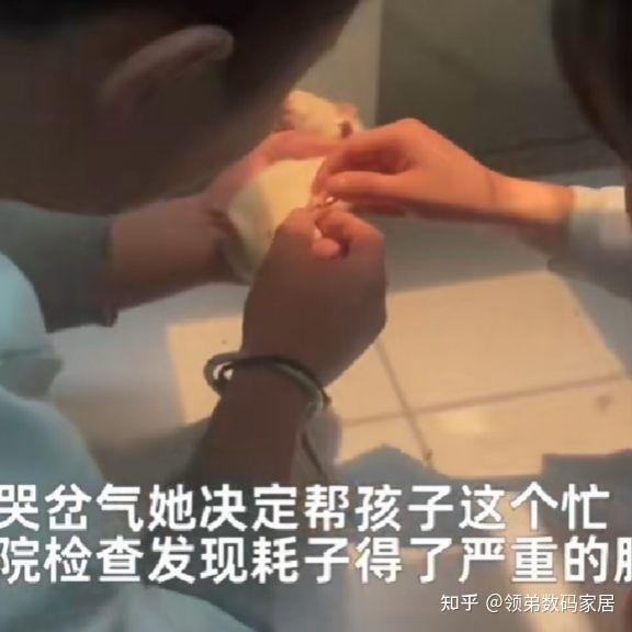 这耗子怕是上辈子拯救银河系！823 / 作者:明月照大江754 / 帖子ID:111695
