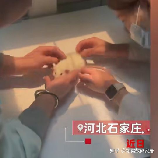 这耗子怕是上辈子拯救银河系！958 / 作者:明月照大江754 / 帖子ID:111695