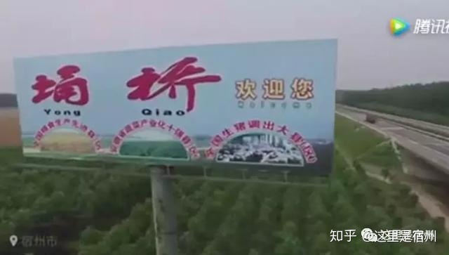 宿州的世界第一，世界唯一，世界之最！494 / 作者:老郑36 / 帖子ID:111743
