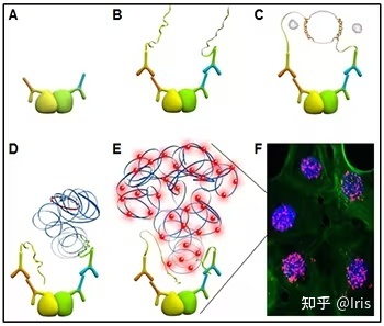 邻位连接PLA-学习笔记125 / 作者:fengzhrng / 帖子ID:111897
