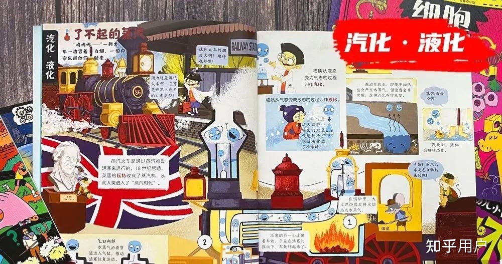 有哪些适合给小学生讲的有意思的科普知识？874 / 作者:石头剪子布854 / 帖子ID:112073