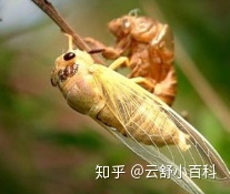 有哪些适合给小学生讲的有意思的科普知识？291 / 作者:123457242 / 帖子ID:112073