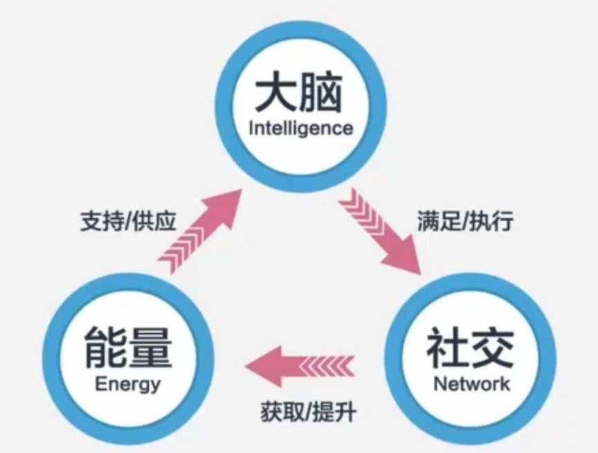 生物学思维（整理上科大胡霁演讲）474 / 作者:可怜的冯三厣 / 帖子ID:112431