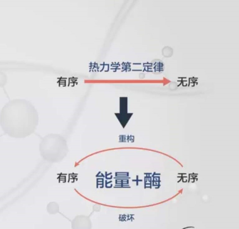 生物学思维（整理上科大胡霁演讲）330 / 作者:可怜的冯三厣 / 帖子ID:112431