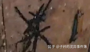 “重庆红衣男孩”灵异之死的8个诡异之处！585 / 作者:哈哈笑417 / 帖子ID:112465