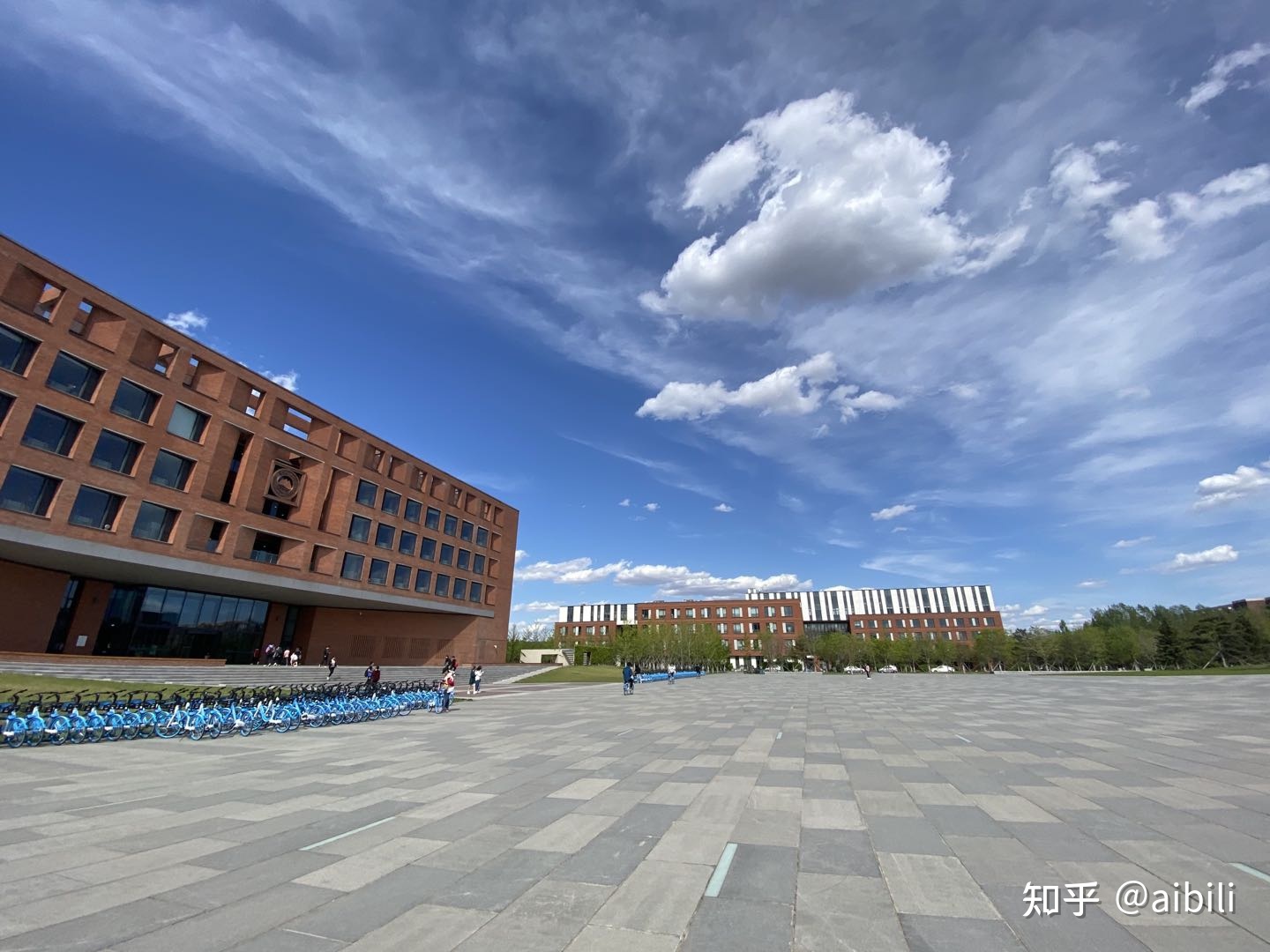 东北大学生物学考研经验贴668 / 作者:在冰雪中的玫瑰 / 帖子ID:112478