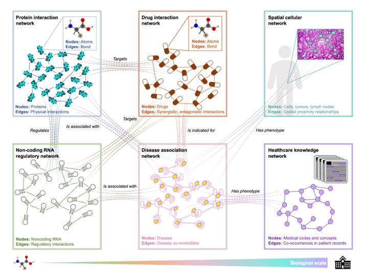 KDD 2022 | 编程指南：生命科学中的图神经网络649 / 作者:民工丁氛 / 帖子ID:112701
