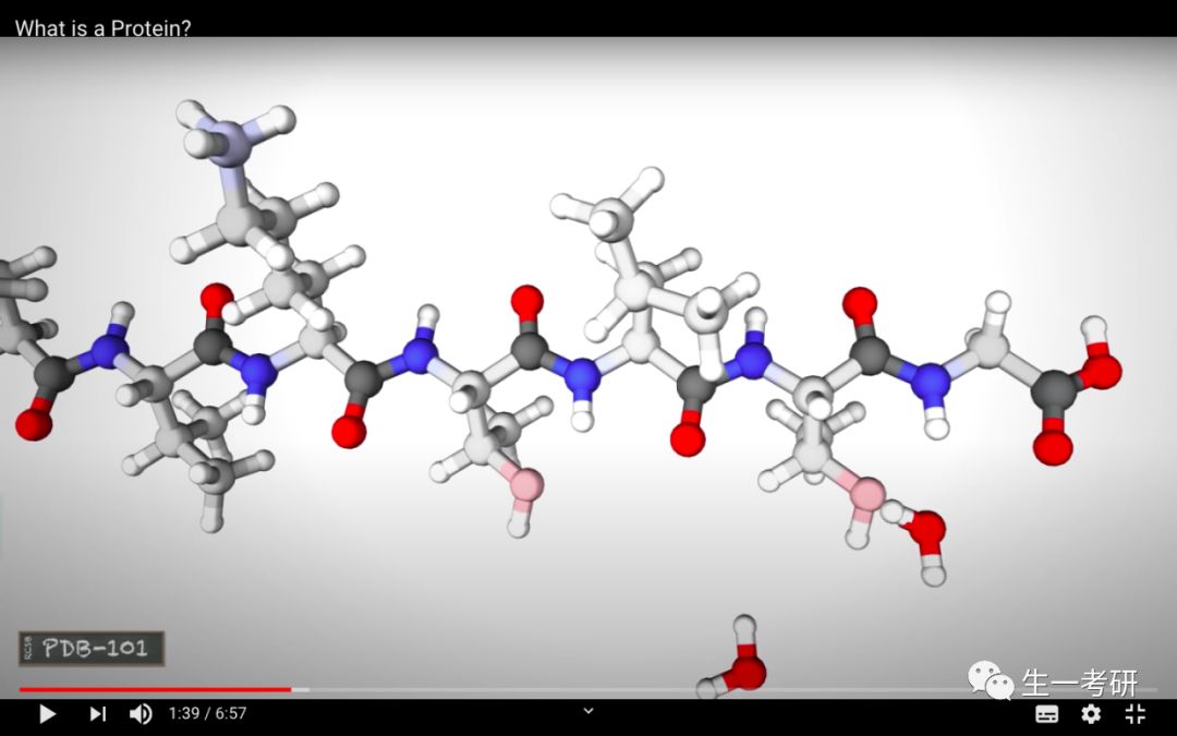 中科大生物学考研难吗，该怎么准备专业课啊？314 / 作者:喵呜_520 / 帖子ID:112712