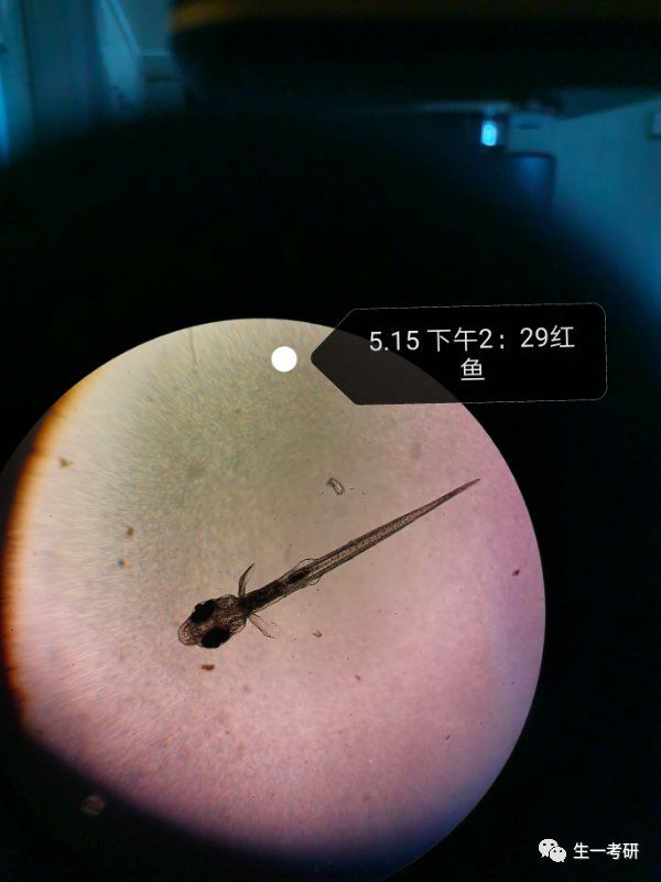 中科大生物学考研难吗，该怎么准备专业课啊？986 / 作者:喵呜_520 / 帖子ID:112712