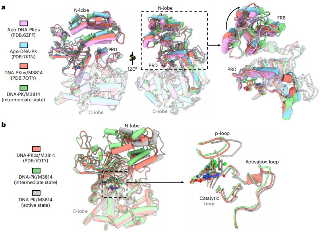 Ϊ޸DNA˹ҪʶѧҷDNA ...678 / :Abraham30 / ID:112942