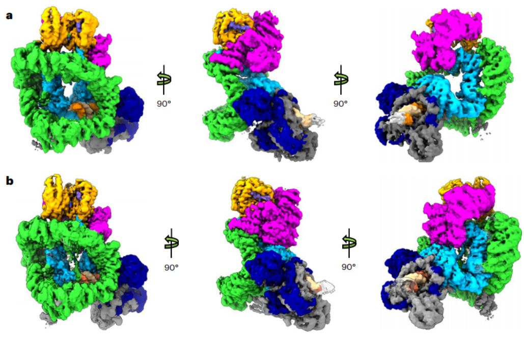 Ϊ޸DNA˹ҪʶѧҷDNA ...334 / :Abraham30 / ID:112942