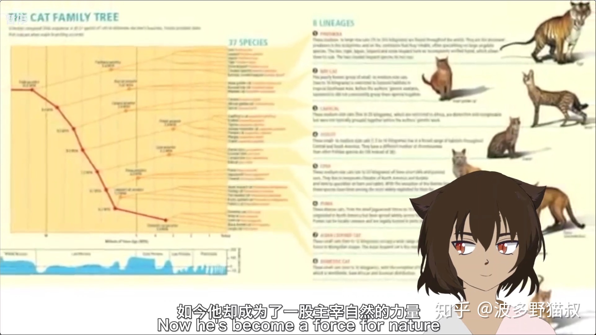 你知道全球有多少只猫吗？谁才是百兽之王？【人类吸猫小史 ...220 / 作者:haiyuezhihun / 帖子ID:112945