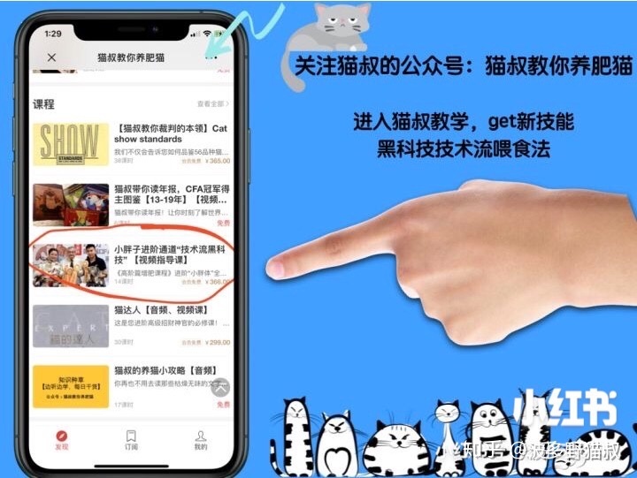 你知道全球有多少只猫吗？谁才是百兽之王？【人类吸猫小史 ...883 / 作者:haiyuezhihun / 帖子ID:112945