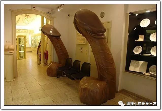 全世界的丁丁尺寸出炉，你的丁丁拖后腿了吗？515 / 作者:嘴边反复的话普 / 帖子ID:113064