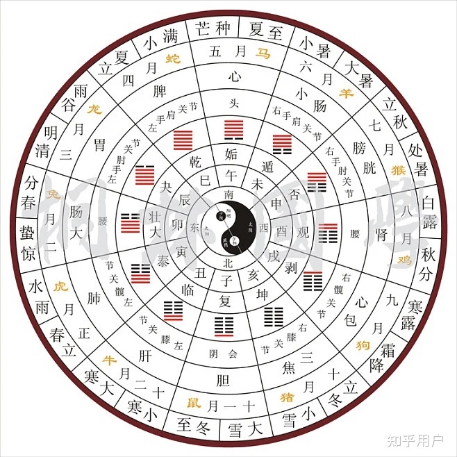 地球会不会是一个巨大生命体的细胞？791 / 作者:HY107 / 帖子ID:113129