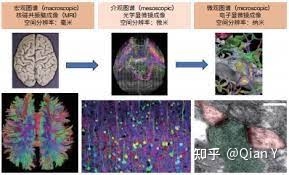 为何介观尺度是材料学和生物学最关注的尺度区间？617 / 作者:嬲乜黄 / 帖子ID:113130