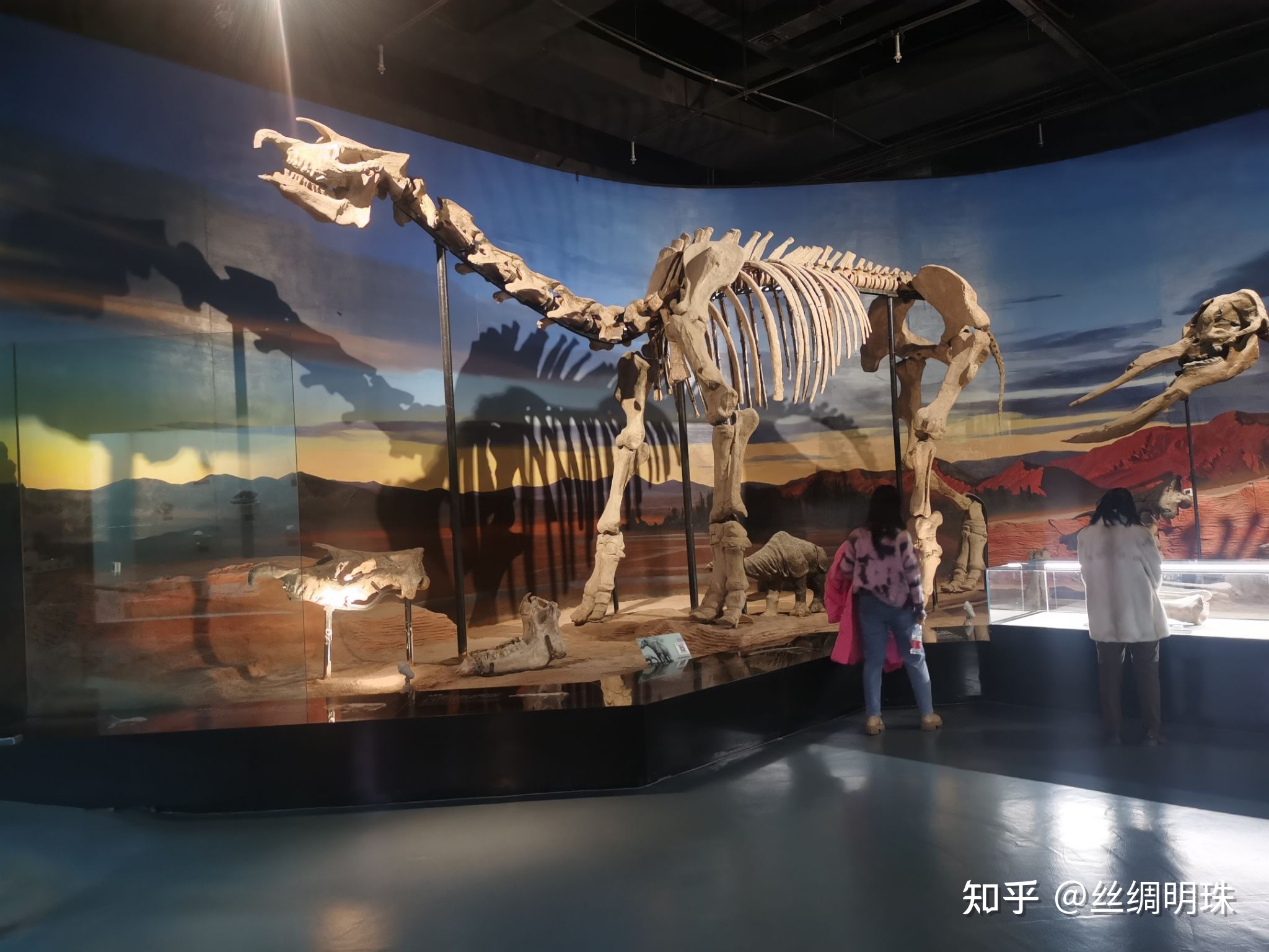 原来，已知在地球陆地上存在过的最大哺乳动物在吐鲁番 ...773 / 作者:北京愤怒羔羊猩 / 帖子ID:113175