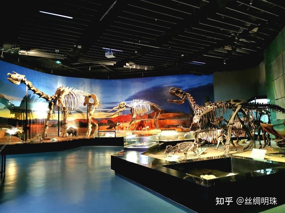 原来，已知在地球陆地上存在过的最大哺乳动物在吐鲁番 ...497 / 作者:北京愤怒羔羊猩 / 帖子ID:113175